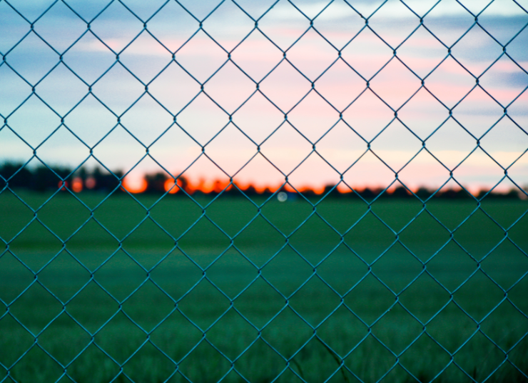 Weldmesh/ Chainlink Fence